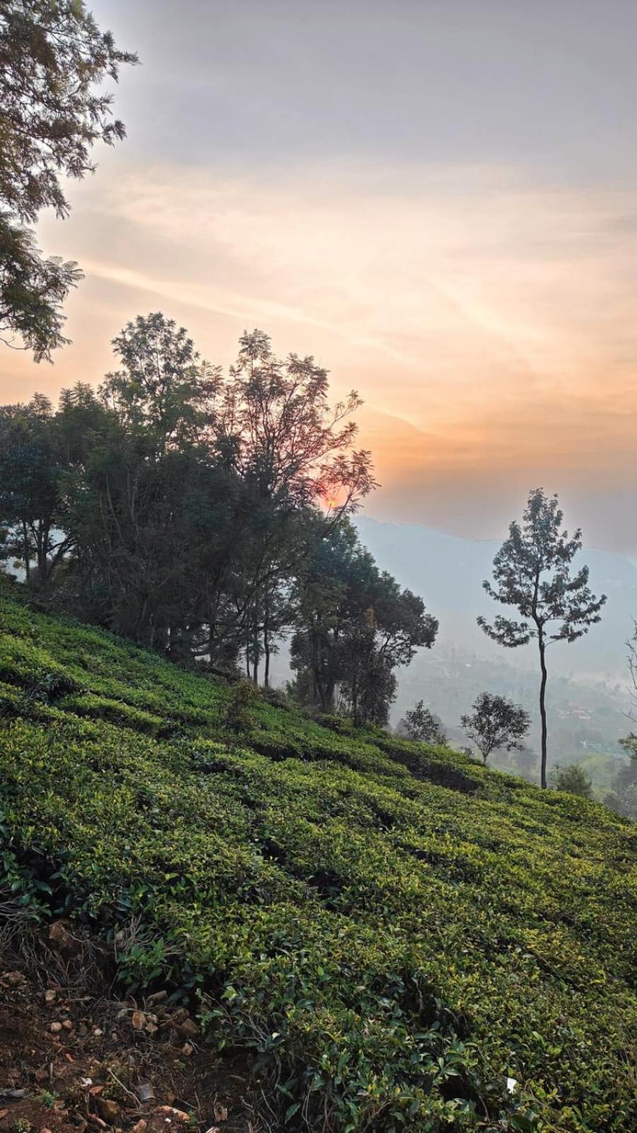 Moksha Infinity Valley Kotagiri Luaran gambar